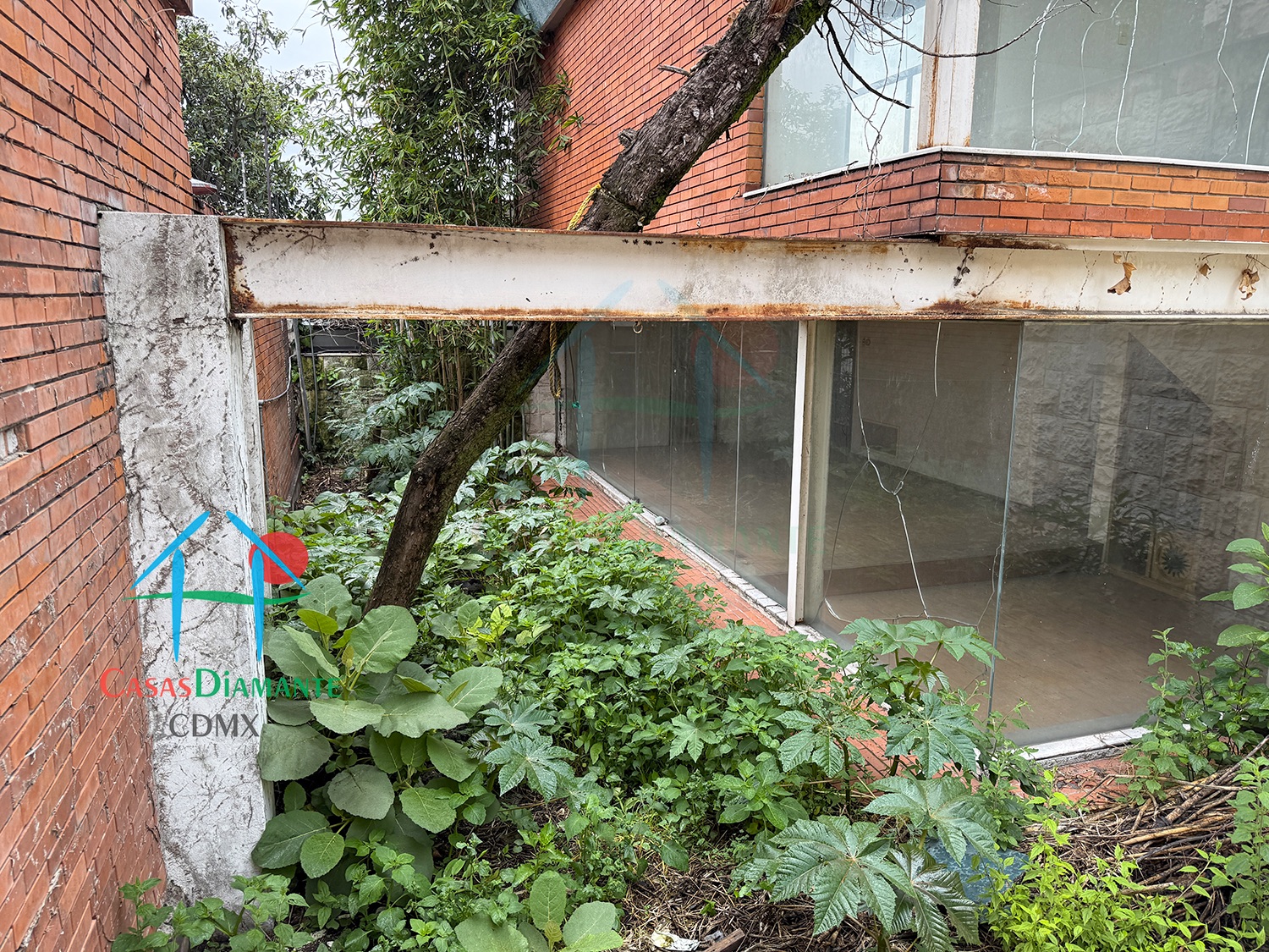 Bosques de las Lomas Terreno Jaguar BBC - Propiedad a demoler 34